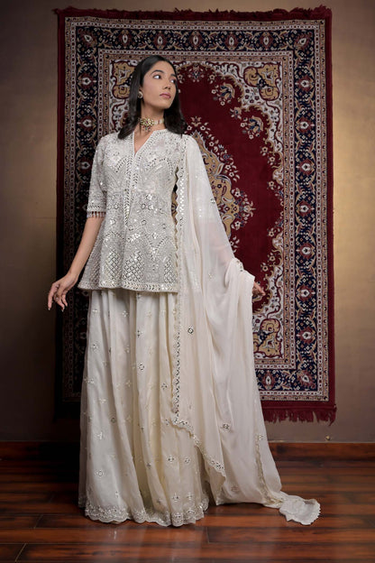 Opulent Sheen Sharara Set